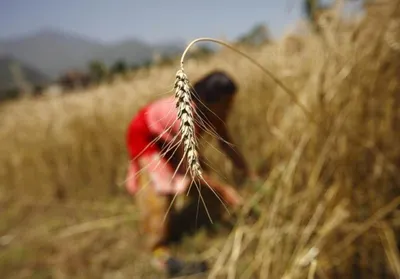 above all  owning property gives abused women the option to leave 