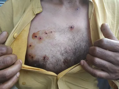 100 days and counting  glimpses of the lockdown  shutdown in kashmir