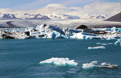 how can you tell when a glacier is dead 
