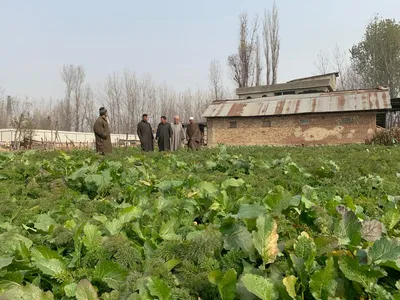  left with nothing   farmers in j k s oukhoo protest as govt takes away land for crpf base