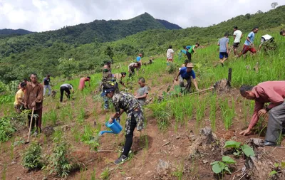 watch   forest conservation rules 2022  a body blow to india’s forest protection laws 