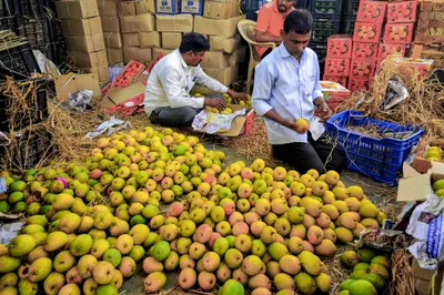the strait squeeze  how war on iran is dividing india’s farmers into the rich and the ruined