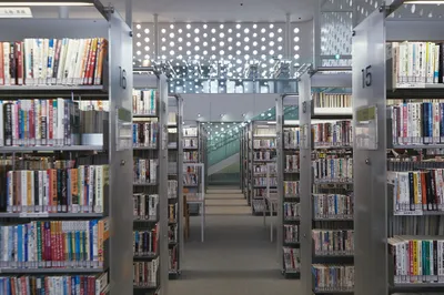  a sky full of bucket lists  review  japanese flavours  local cuisine