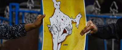 editorial  the bjp has wilfully let delhi burn