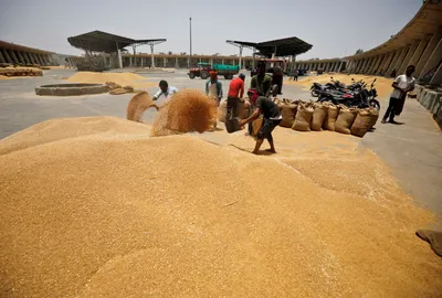 india restricts wheat flour exports to bring down record prices