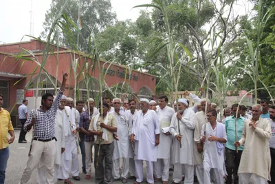 pending cane dues  stirs brew in up  aggrieved farmers in meerut threaten mass suicide