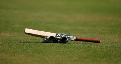 stumped by a tweet  the irrelevance of indian cricketers