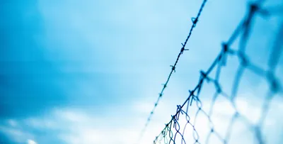 in a world of borders  one s search for a home can tell a story