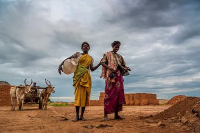 ‘dalits are not afraid of climate change  they have been leading a disastrous life forever 