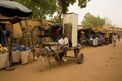 amidst rising heat waves  un says cooling is a human right  not a luxury