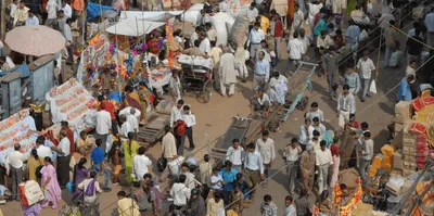 bihar caste survey  the who’s who in the data   yadav