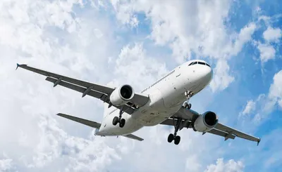 over 300 indians deported from mexico land in delhi