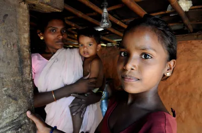 india’s bureaucracy needs to do more for forest dwellers