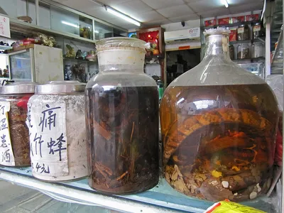 how snake oil got a bad name