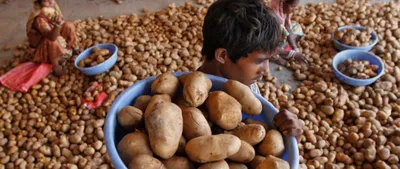 the life of labour  pepsico sues farmers  sex workers intend to vote nota