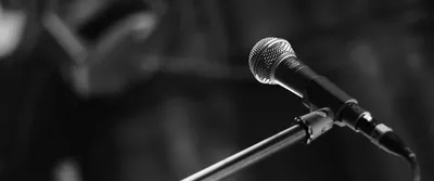 in search of a public intellectual