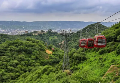 from street protests to policy shifts  india s environmental year in review