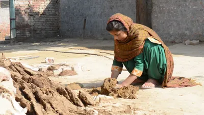 hit by indebtedness and suicides  punjab farmers worry new laws will make things worse