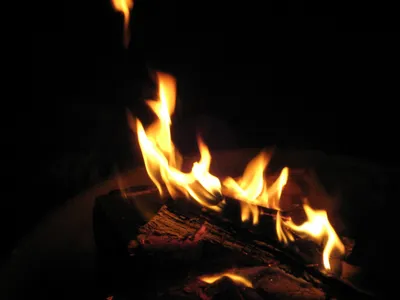 in the shadow of exodus  a cautionary tale of displacement  resilience and erasure