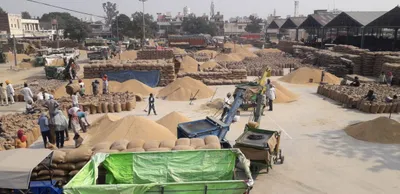 farmers denied rs 1 900 crore due to sales below msp in last two months