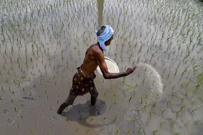 is india heading towards a fuel  fertiliser and fiscal crisis 