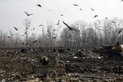 government apathy is behind srinagar’s achan dumping site becoming a major health hazard