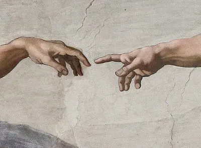 what it means to  reject  evolution  in the words of a 1982 judgment