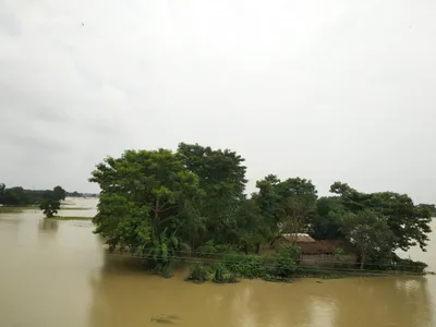 floods wreak havoc over large swathes of north bihar