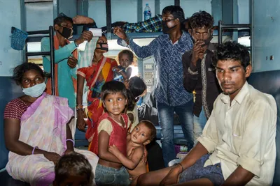 not just the media  organised politics too failed india s migrant workers