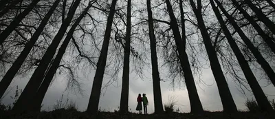 as violence surges in kashmir  a trail of shattered families