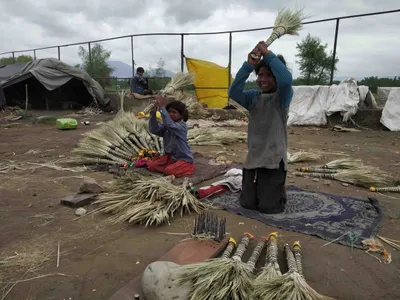 in photos  rajasthani broom makers struggle to make ends meet in kashmir