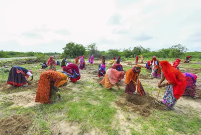 mgnrega to g ram g  dismantling a right in the name of reform 