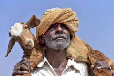 perils of opening india s agricultural market to united states business