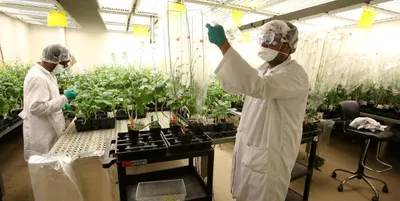 why we tear down statues