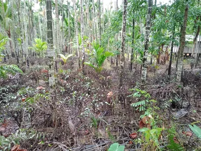 baghjan blowout  protests continue in natungaon over denial of compensation