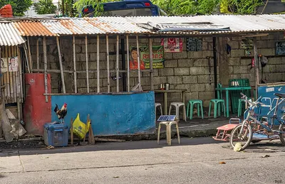 fear and uncertainty reign supreme as ahmedabad enforces ban on non veg stalls