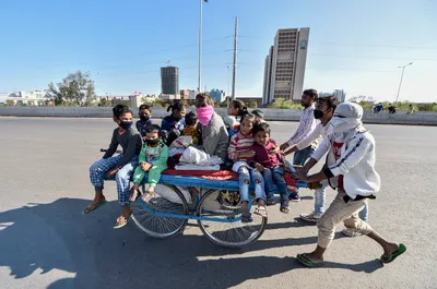 migrant worker crisis  the supreme court has abdicated all responsibility