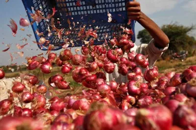 india s missing agricultural data