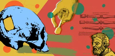 the curious case of the cow with a hole in its skull