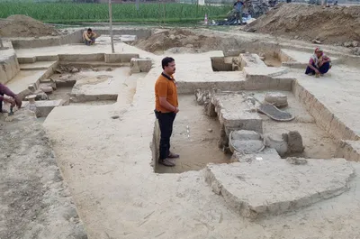 asi claims to have found harappan era  chariots  at excavation site in up