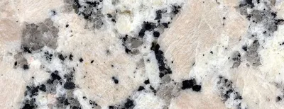 from drought to deadly disease – no respite for migrant tribal farmers