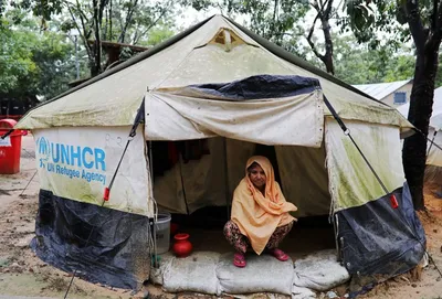 special report  myanmar s moves could mean the rohingya never go home