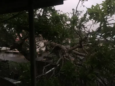 cyclone wreaks havoc in tonga s capital