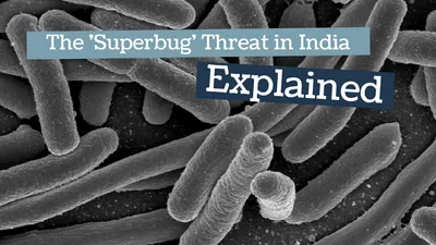 watch   indian hospitals are full of superbugs  they re lying if they refute 