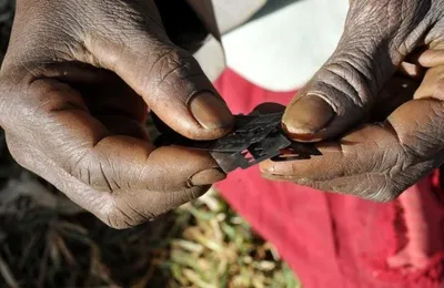 with data  an attempt to lift the veil of secrecy around female genital mutilation