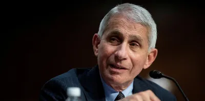 us disease chief fauci calls white house s attempts to discredit him  bizarre 