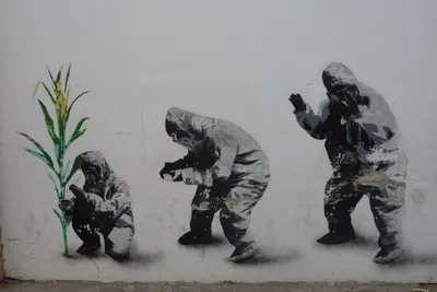  why i m quitting gmo research 