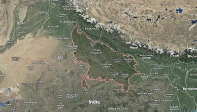 33 776 trees to be cut for new road for pilgrims  uttar pradesh tells ngt  report