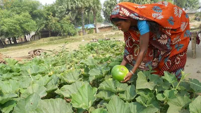 kitchen gardens that bring nutrition  livelihood support and protect seeds