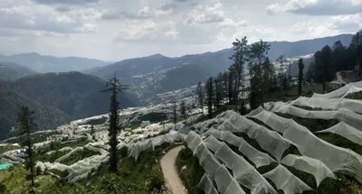 why people in himachal and uttarakhand need to know more on the farm laws and protests